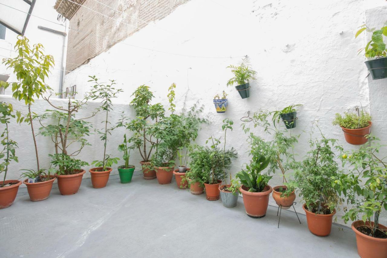 Apartamento Albaycin Granada, Granada